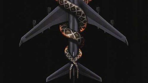 should-i-watch-snakes-on-a-plane