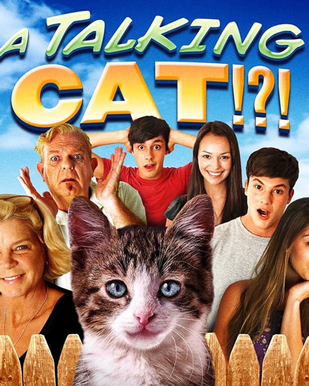 crappy-kid-movie-alert-beware-of-a-talking-cat