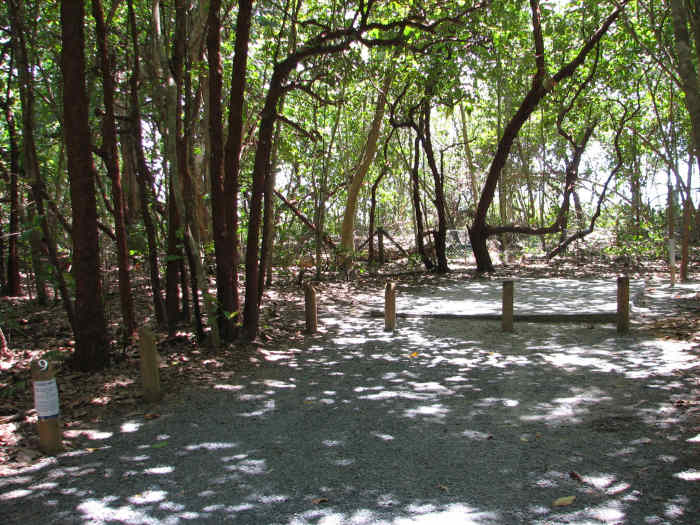 Noah Beach Campground Cape Tribulation Daintree National Park North