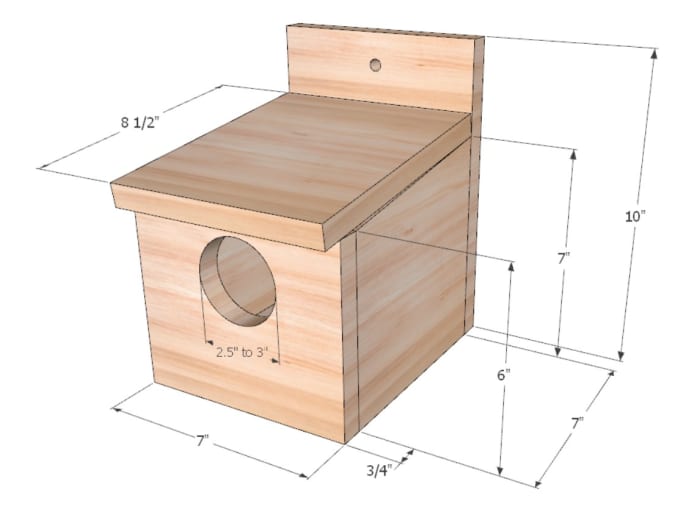 Robin Nest Box Dimensions