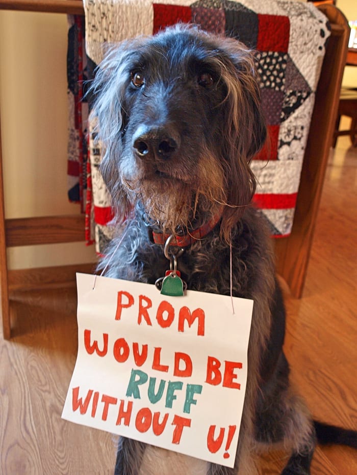 who could say no to this cute guy?