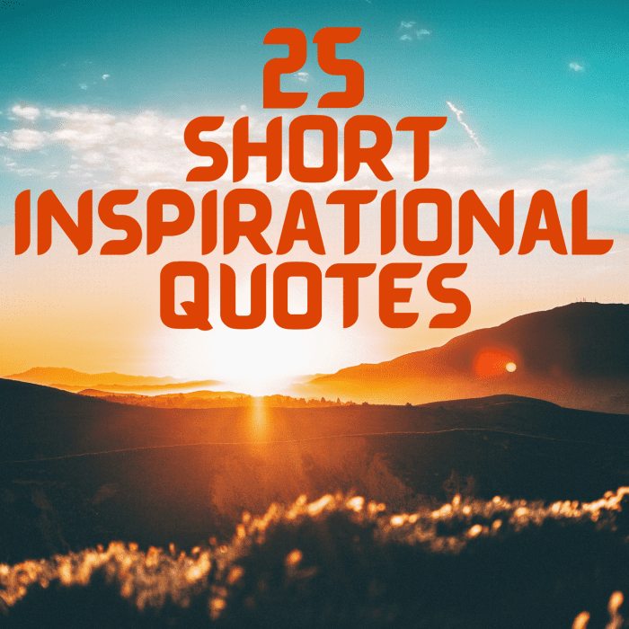 25 Short Inspirational Quotes And Sayings Holidappy