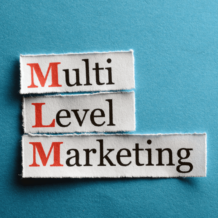 The 5 Fatal Flaws Of Multi Level Network Marketing MLM HubPages