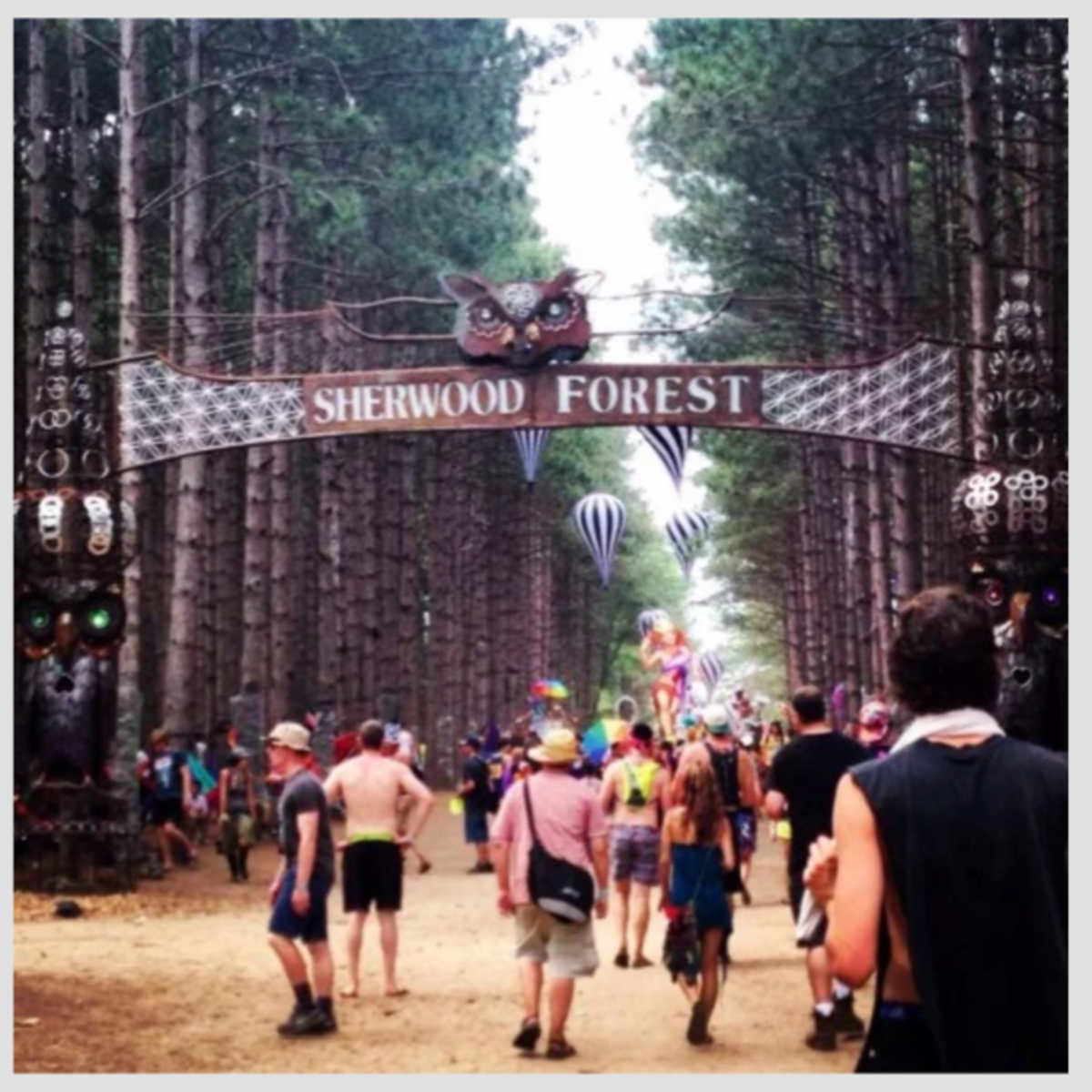 2015电森林节