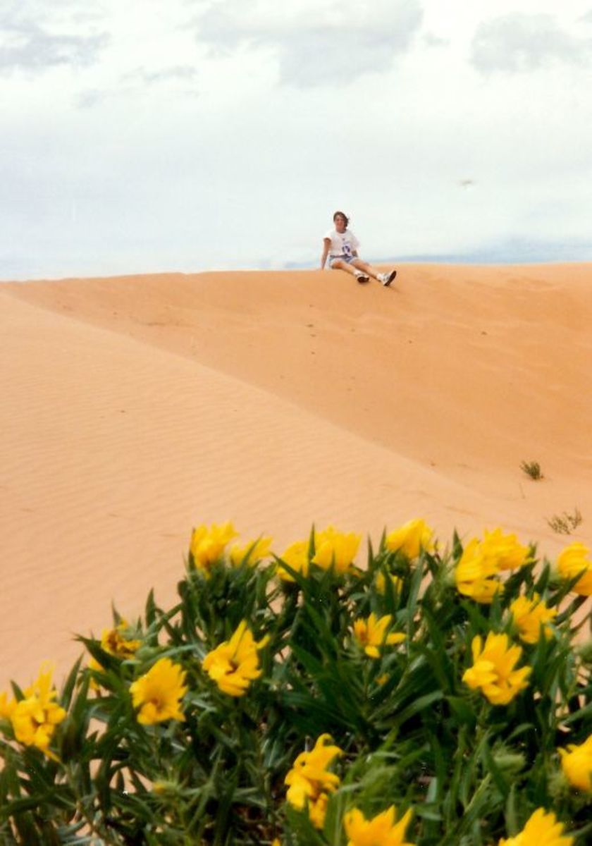 Spectacular Scenery And Recreation At Coral Pink Sand Dunes State Park