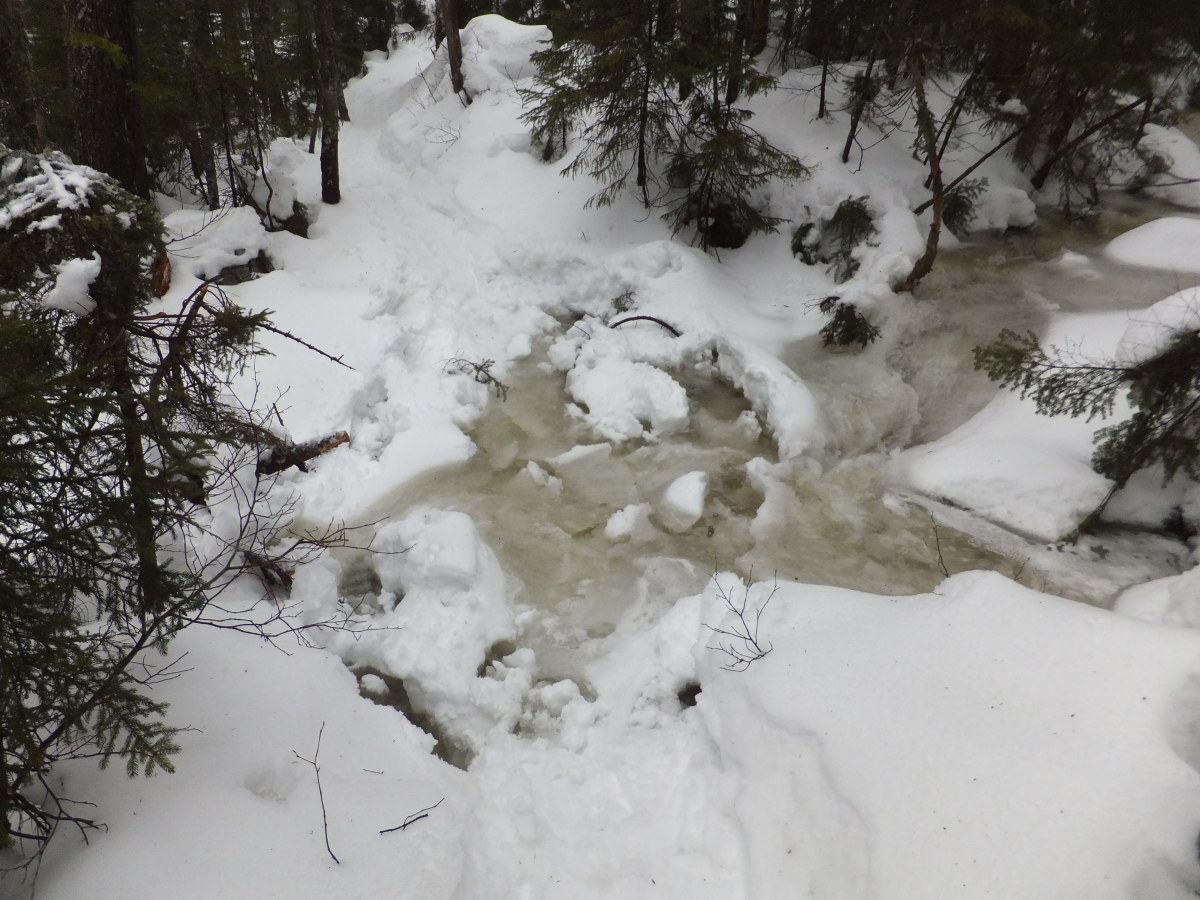 Hiking Cliff And Colden Mountains In The Adirondack High Peaks Hubpages