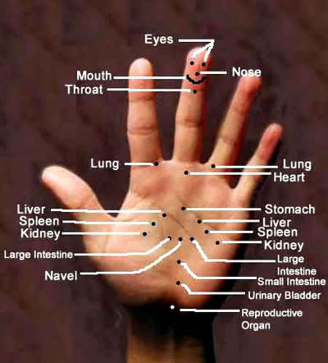 Acupuncture Versus Acupressure Hubpages