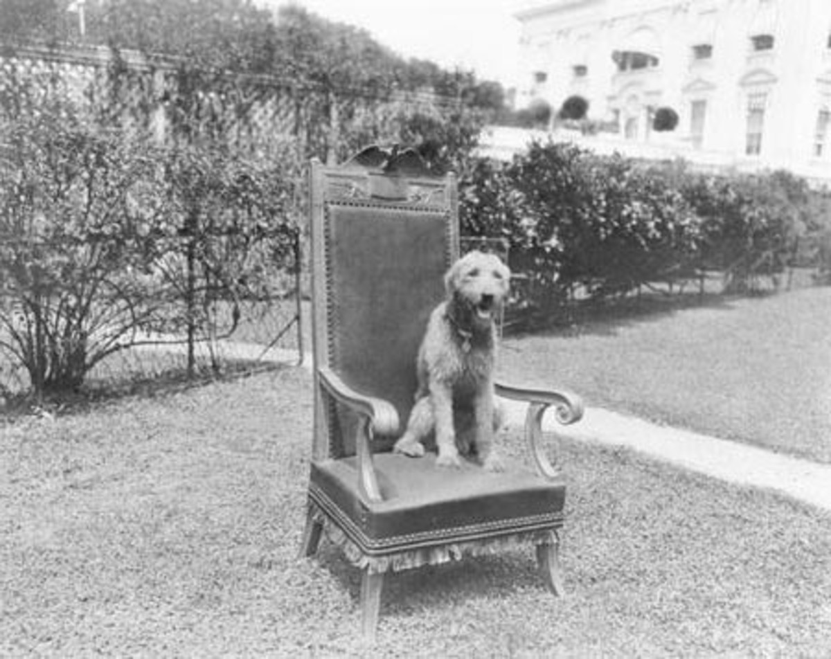 Памятник Рузвельту с собакой