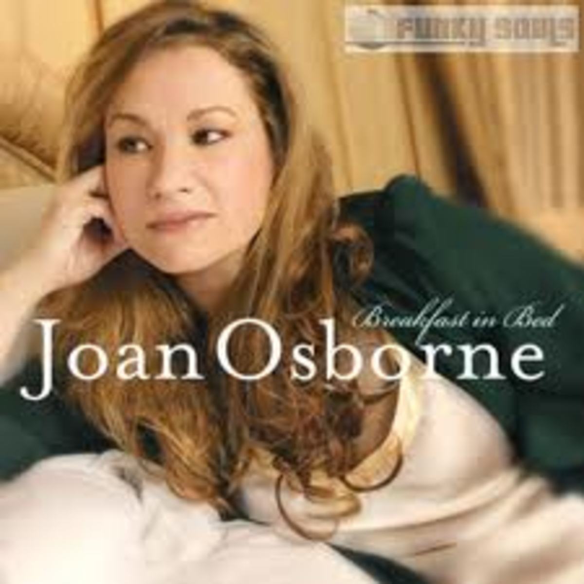 A Look At Joan Osborne S What If God Was One Of Us Hubpages