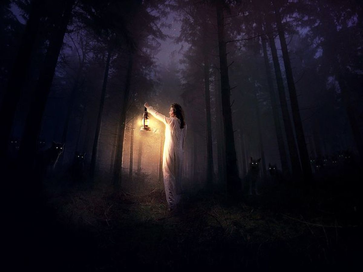 Девушка в ночном лесу