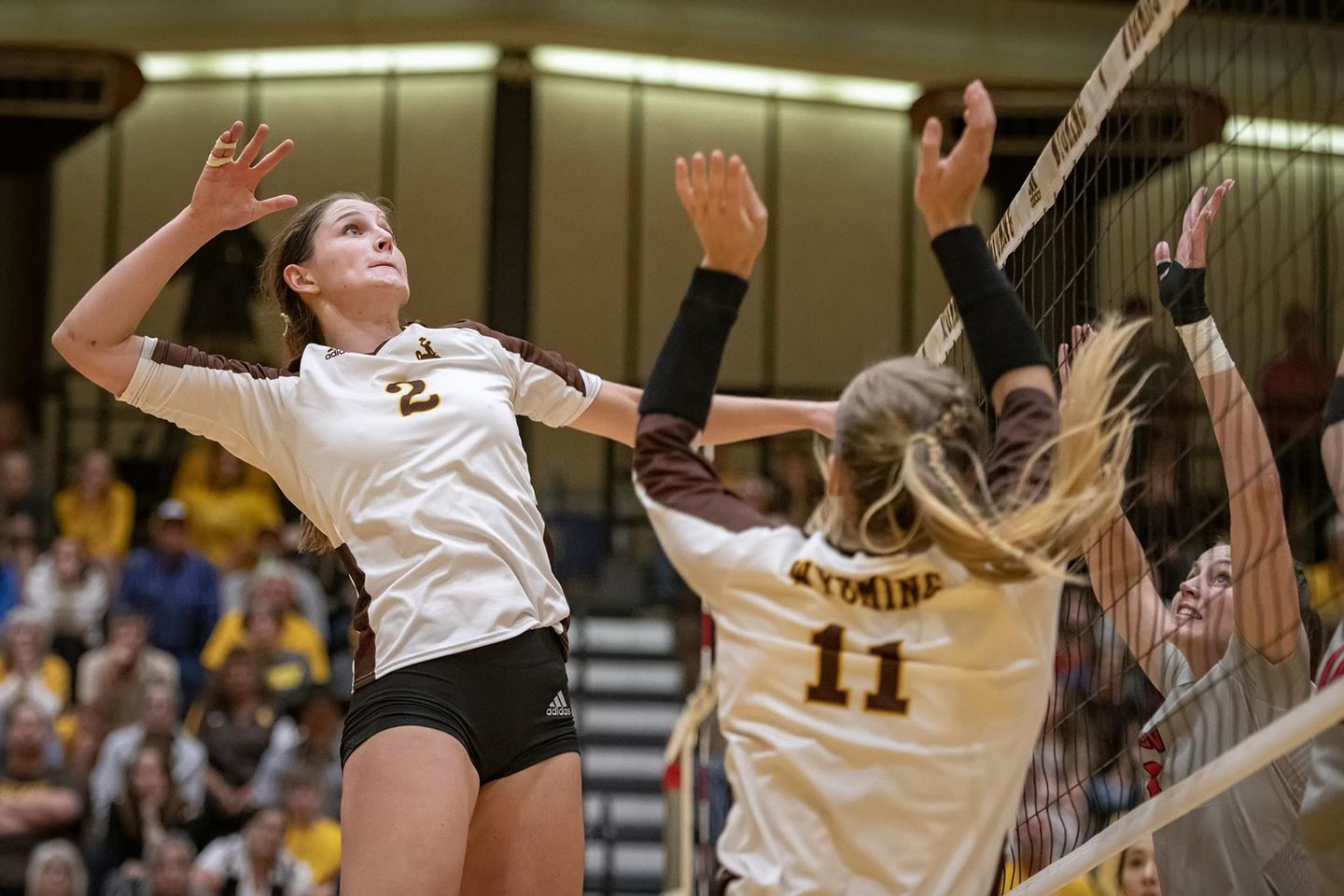 Cowgirls McBride Earns MW Volleyball Offensive Player of Week Honors - Sports Illustrated