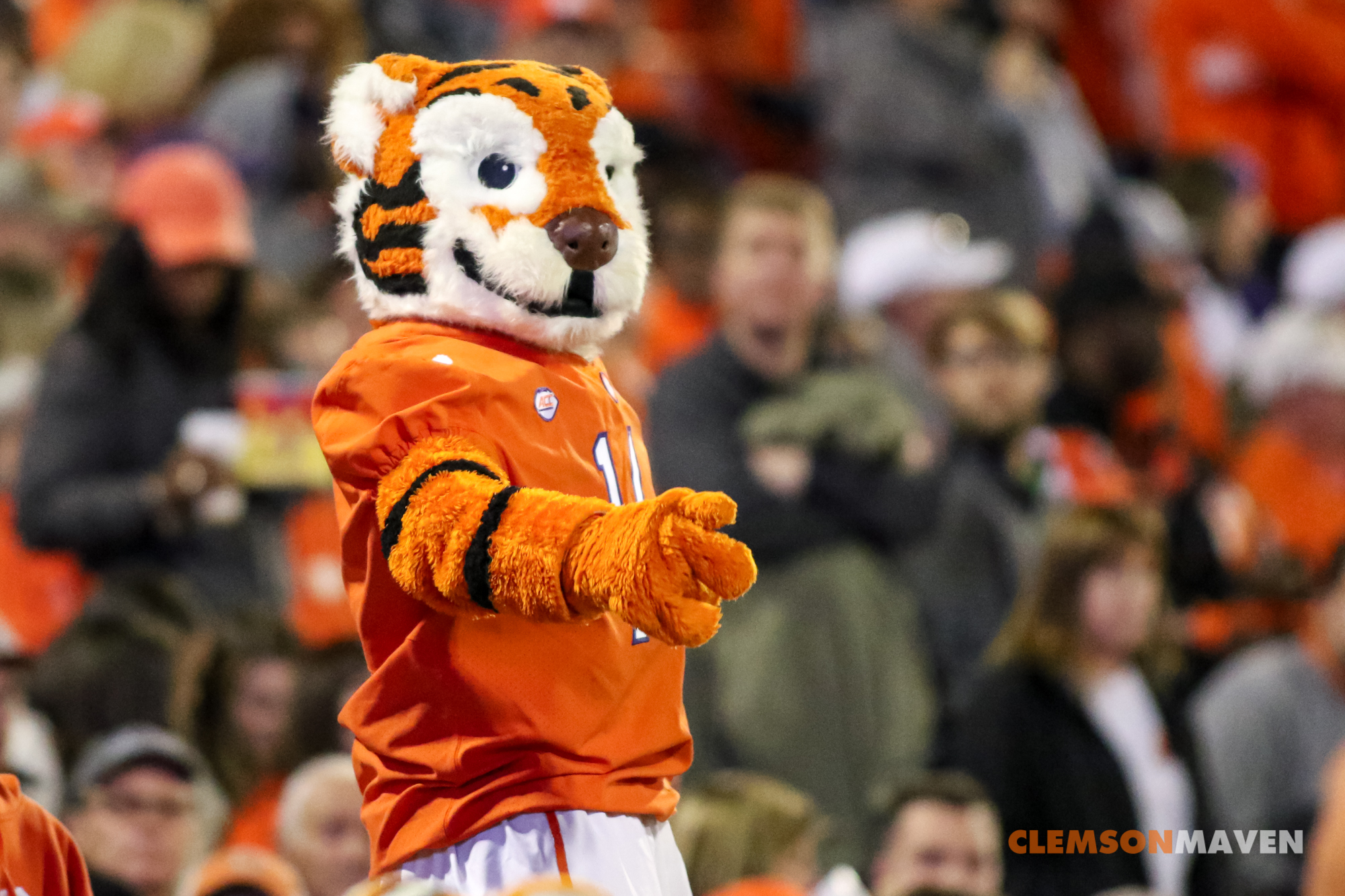 Preview and Prediction Clemson and South Carolina