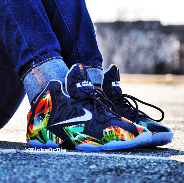 lebron 11 floral