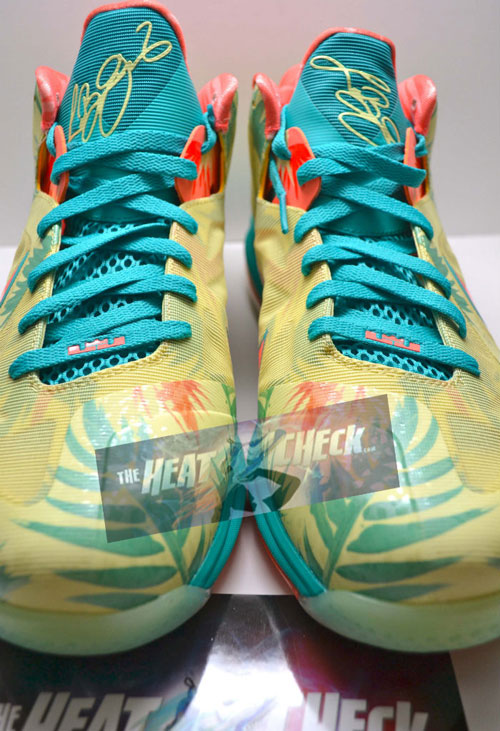 lebron palmer 9