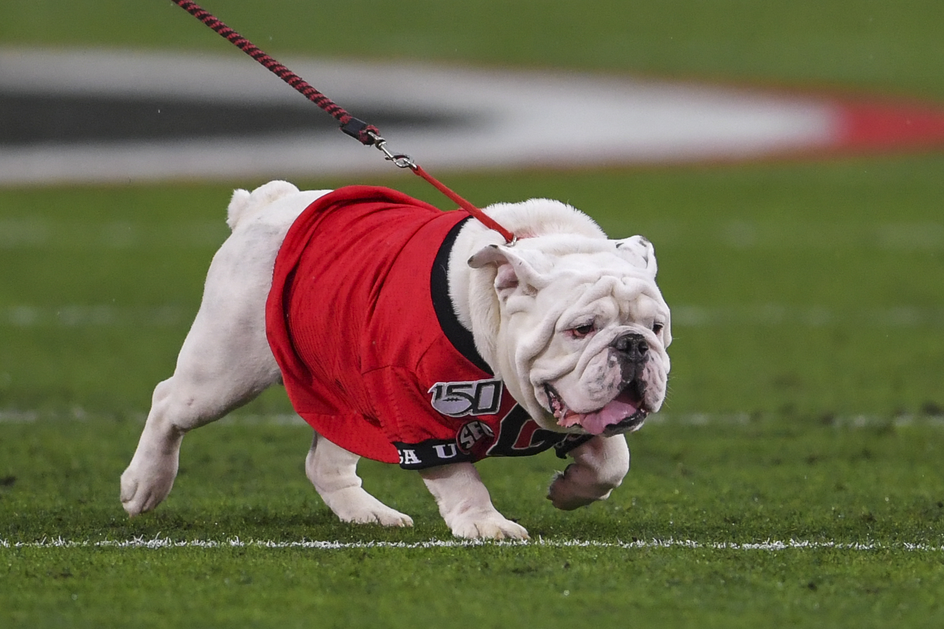 Olympics Postponed: Georgia Bulldogs Miss Out Due to COVID-19 Outbreak