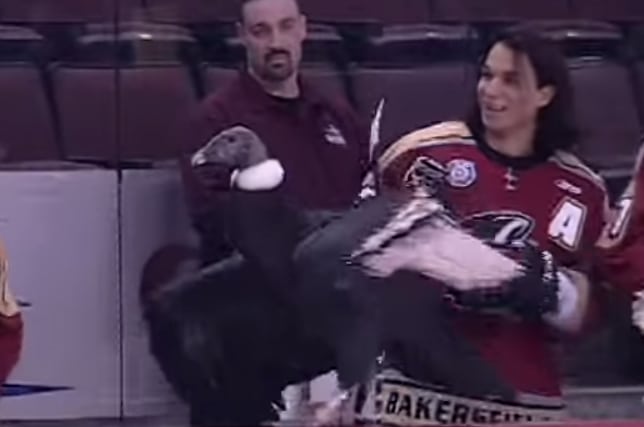 Five bizarre Bakersfield Condors memories as we say goodbye to ECHL's weirdest, coolest franchise