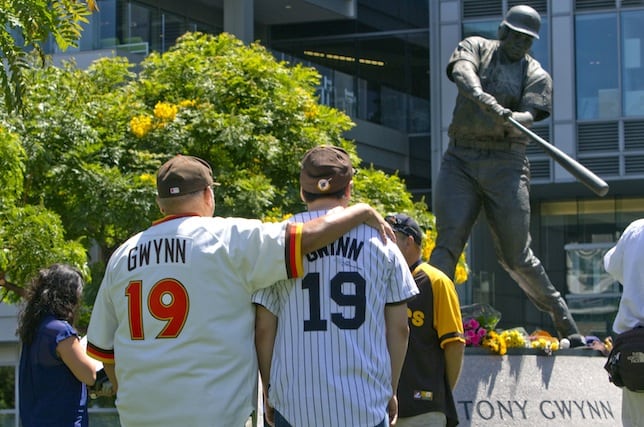 Tony Gwynn's tragic death from chewing tobacco is a wakeup call for the NHL and hockey world cover image