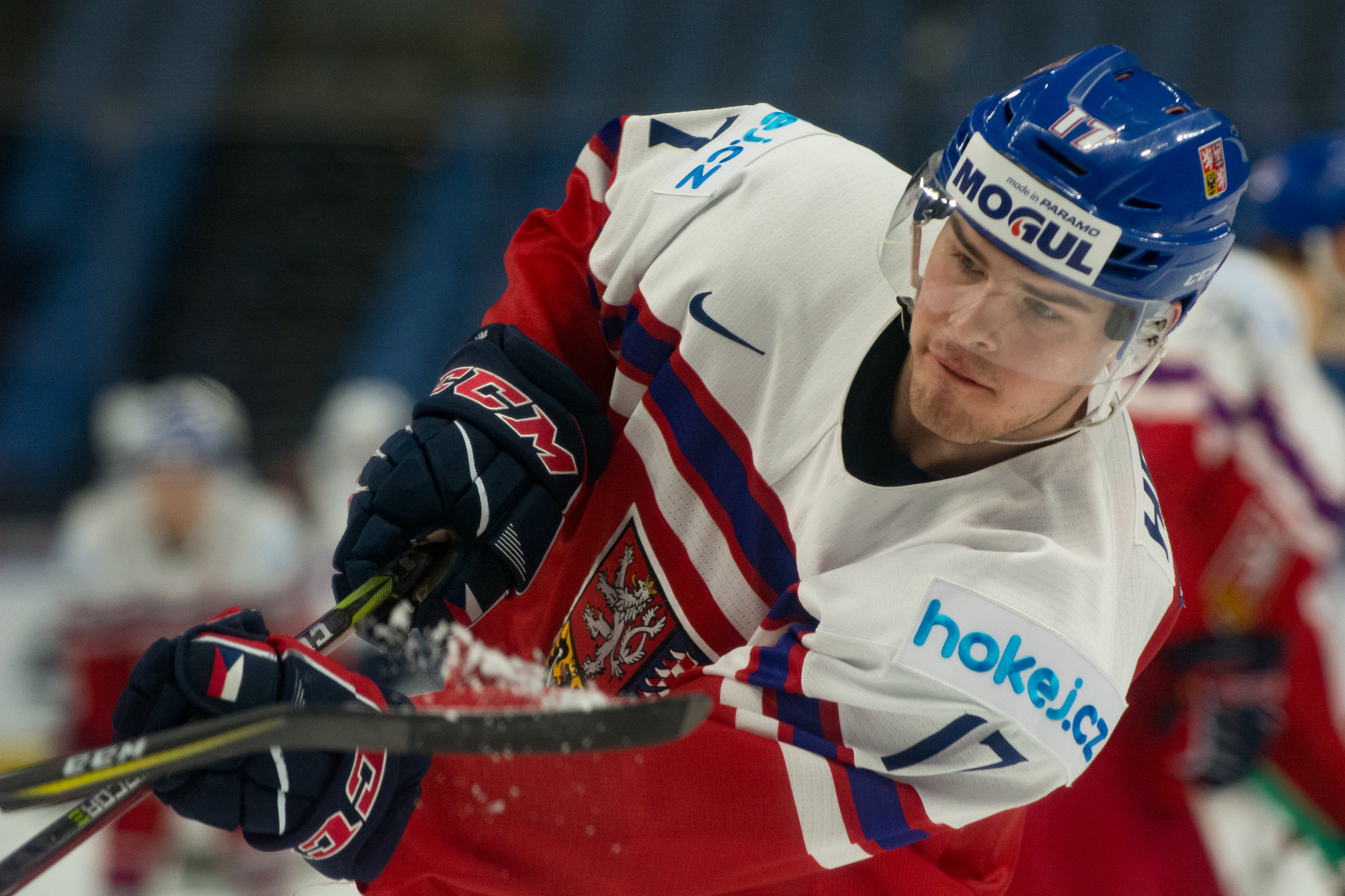 Steven Ellis/Euro Hockey - AHL Player Suspended 30 Games for Directing Racial Gesture Towards Opponent