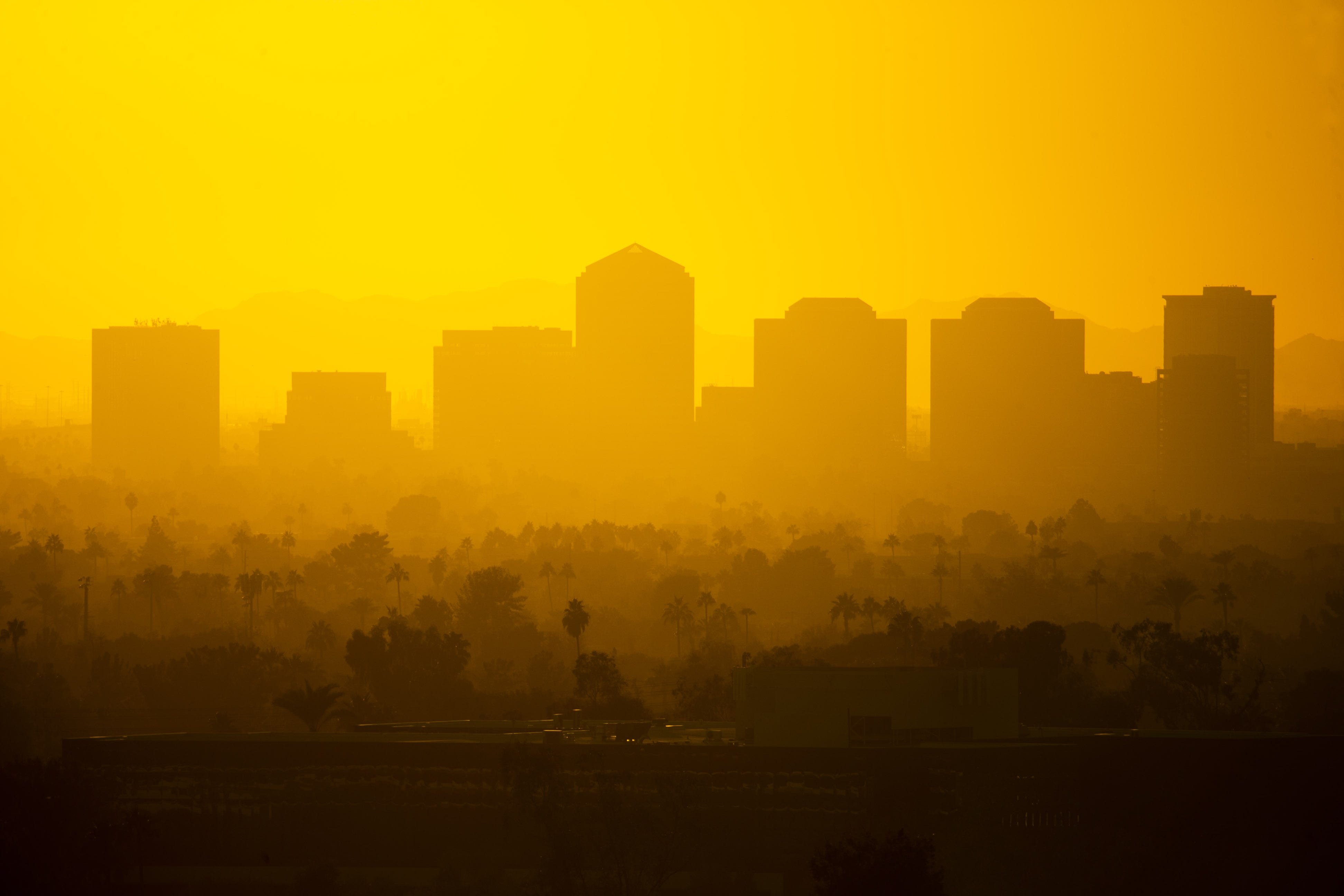 David Wallace/The Republic / USA TODAY NETWORK - Coyotes Announce Commitment to win Land Auction With Plans to Build Arena