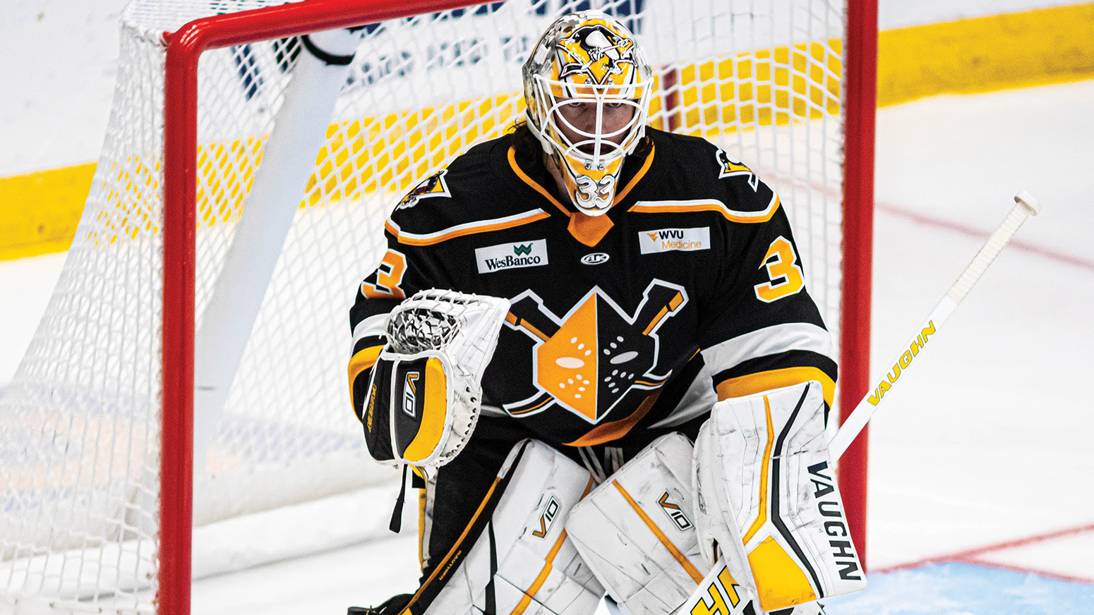 Wheeling Nailers Photo - As the Wheeling Nailers Celebrate Twelve Straight Wins, Goaltender Taylor Gauthier and Forward Jordan Martel Earn Weekly Honours