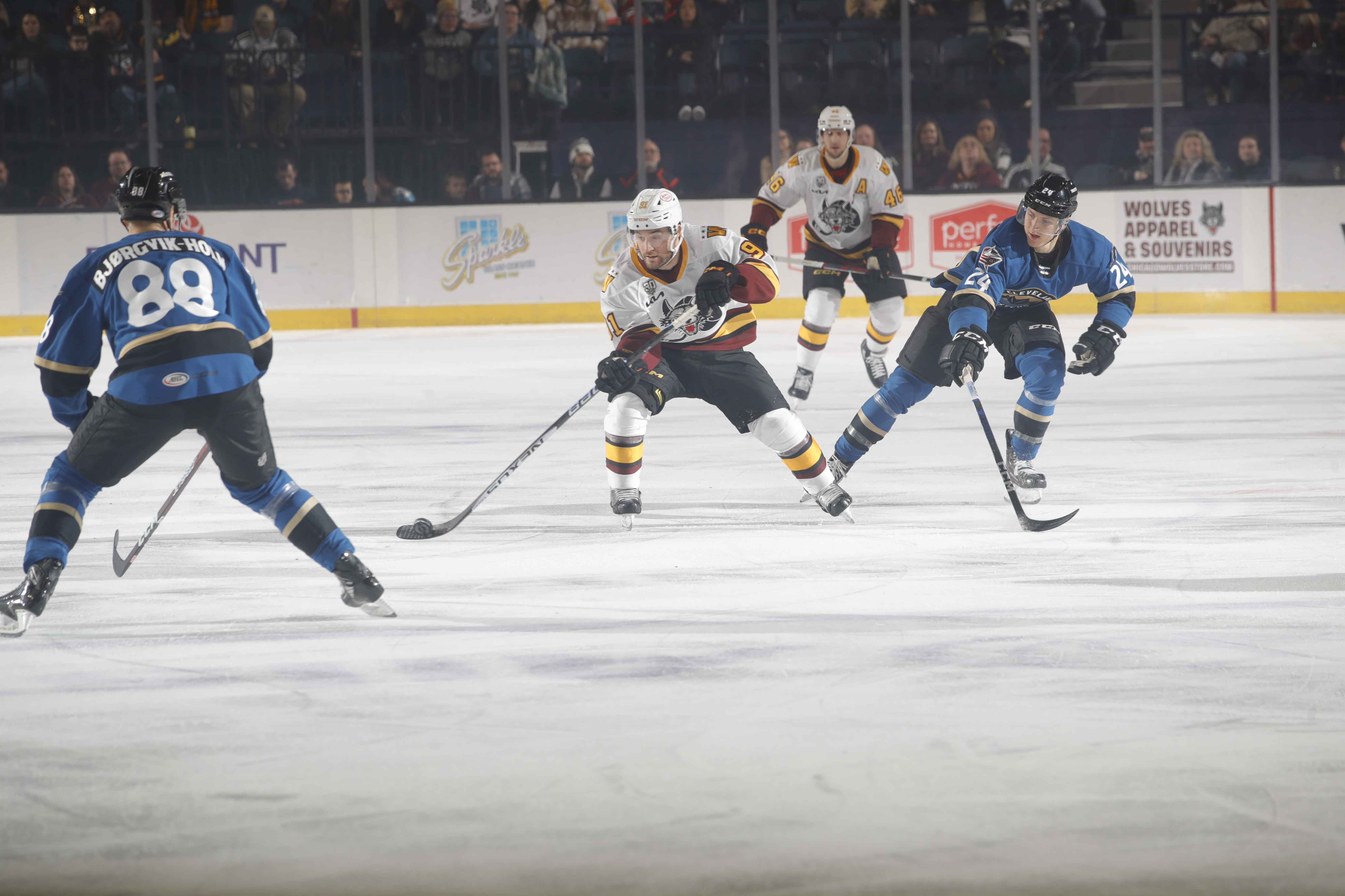 Photo Courtesy of Chicago Wolves - Report: Columbus Defensive Prospect Ole Julian Bjørgvik-Holm Banned From Team Norway Due To Team Violation