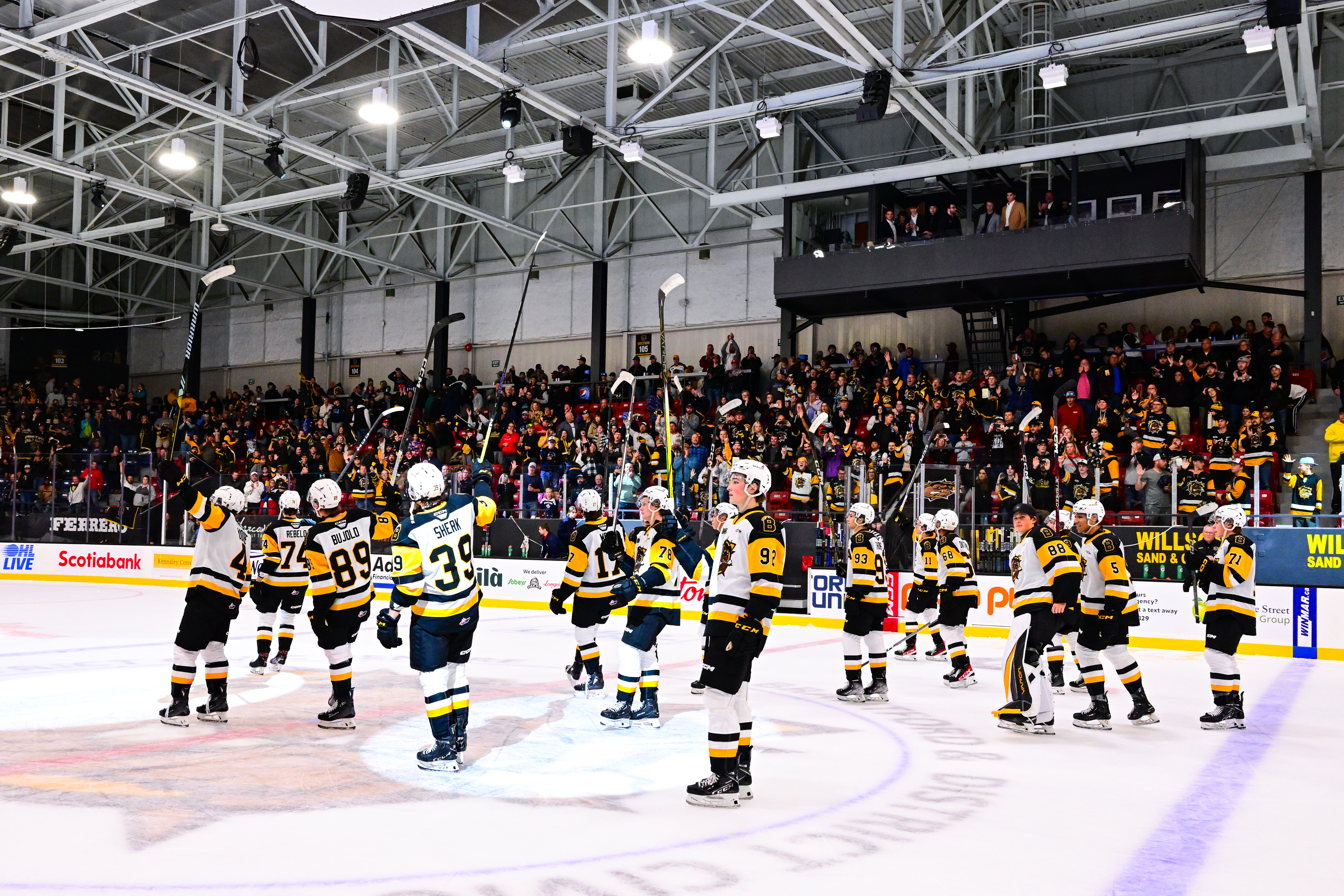 How would Adam Jiricek change the Bulldogs lineup?