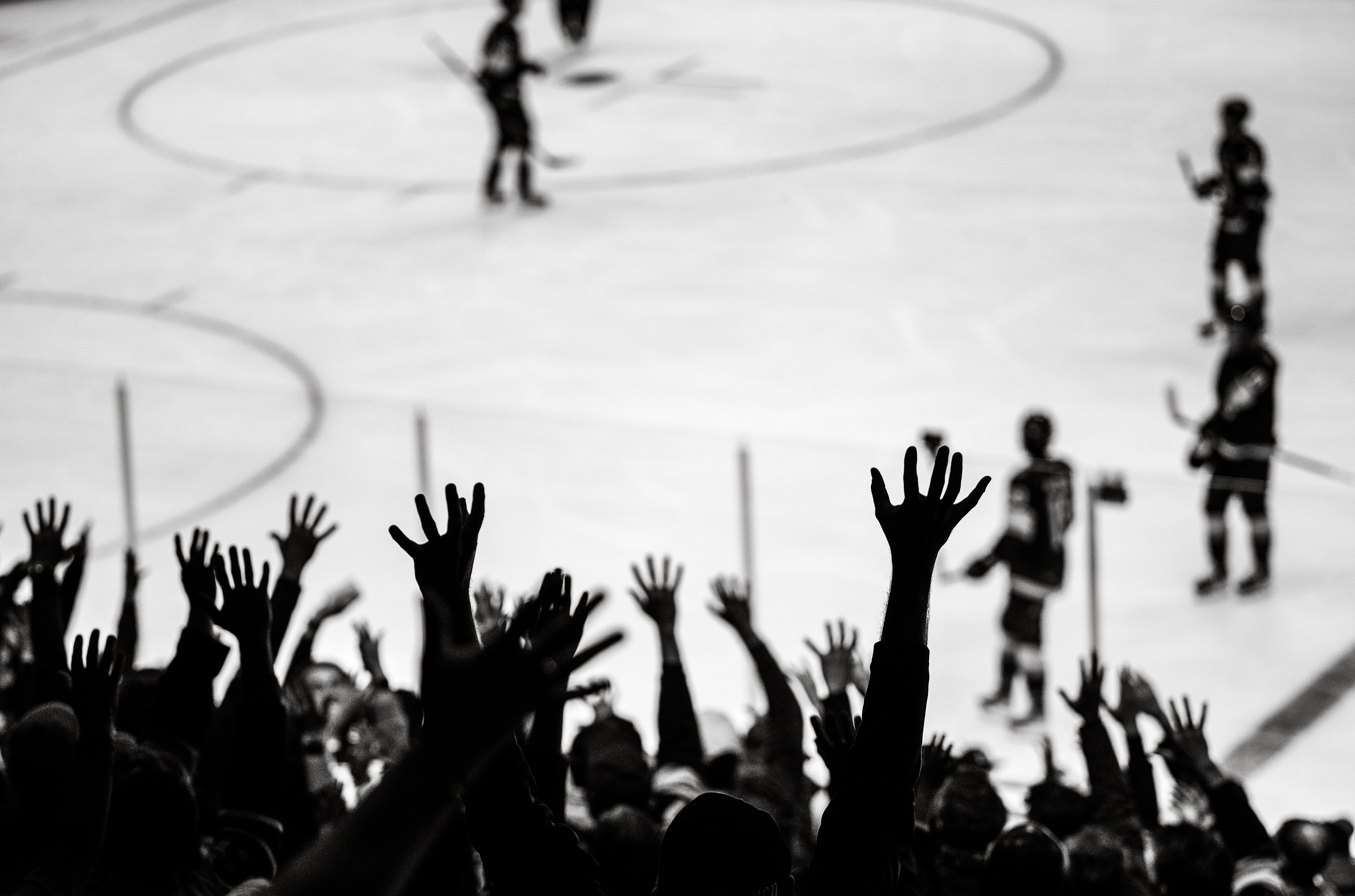 Monochrome Monday: Throw Your Hands in the Air, Kraken Fans!