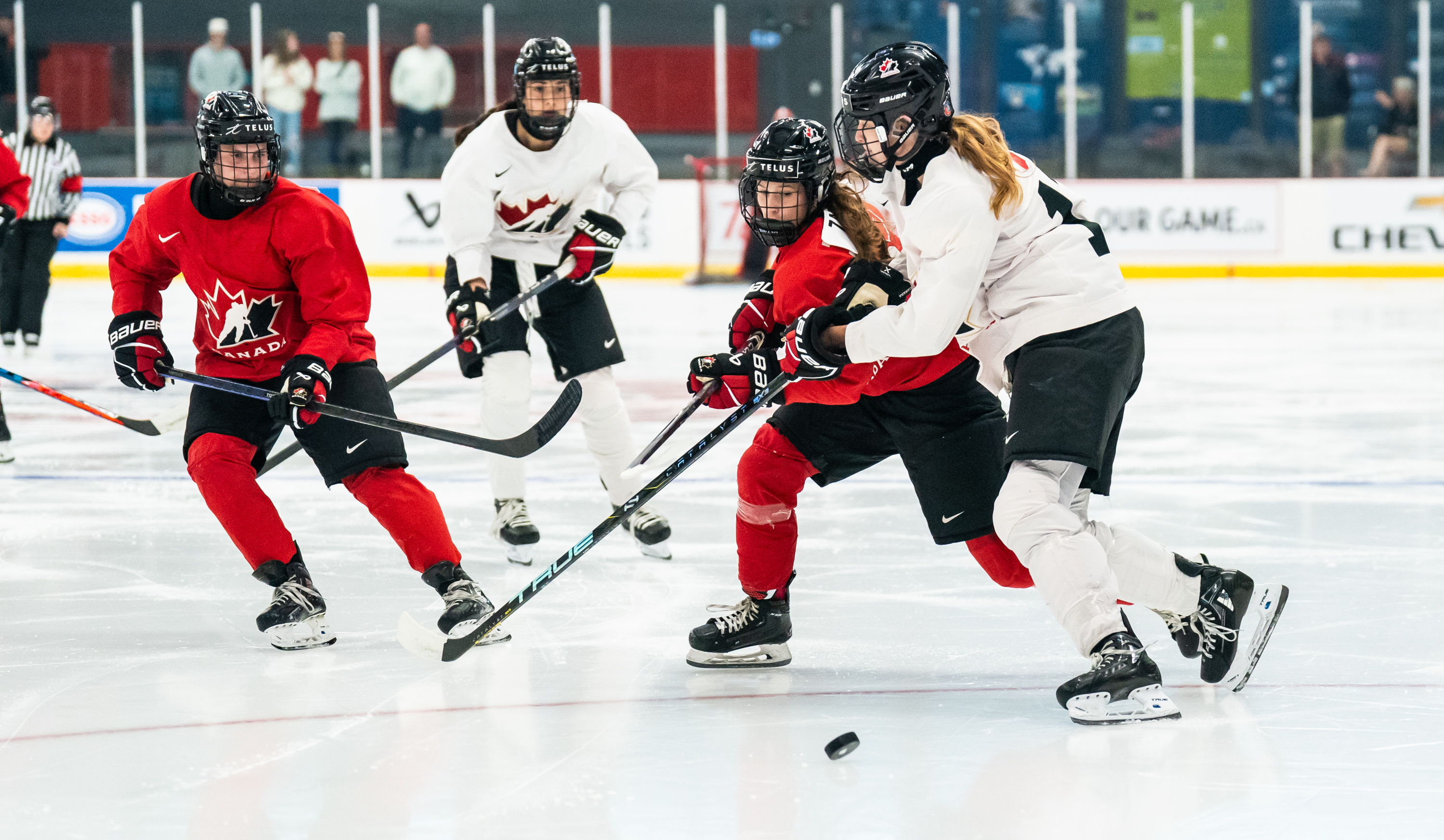 Canada's Talent On Full Display As U-18 Camp Opens