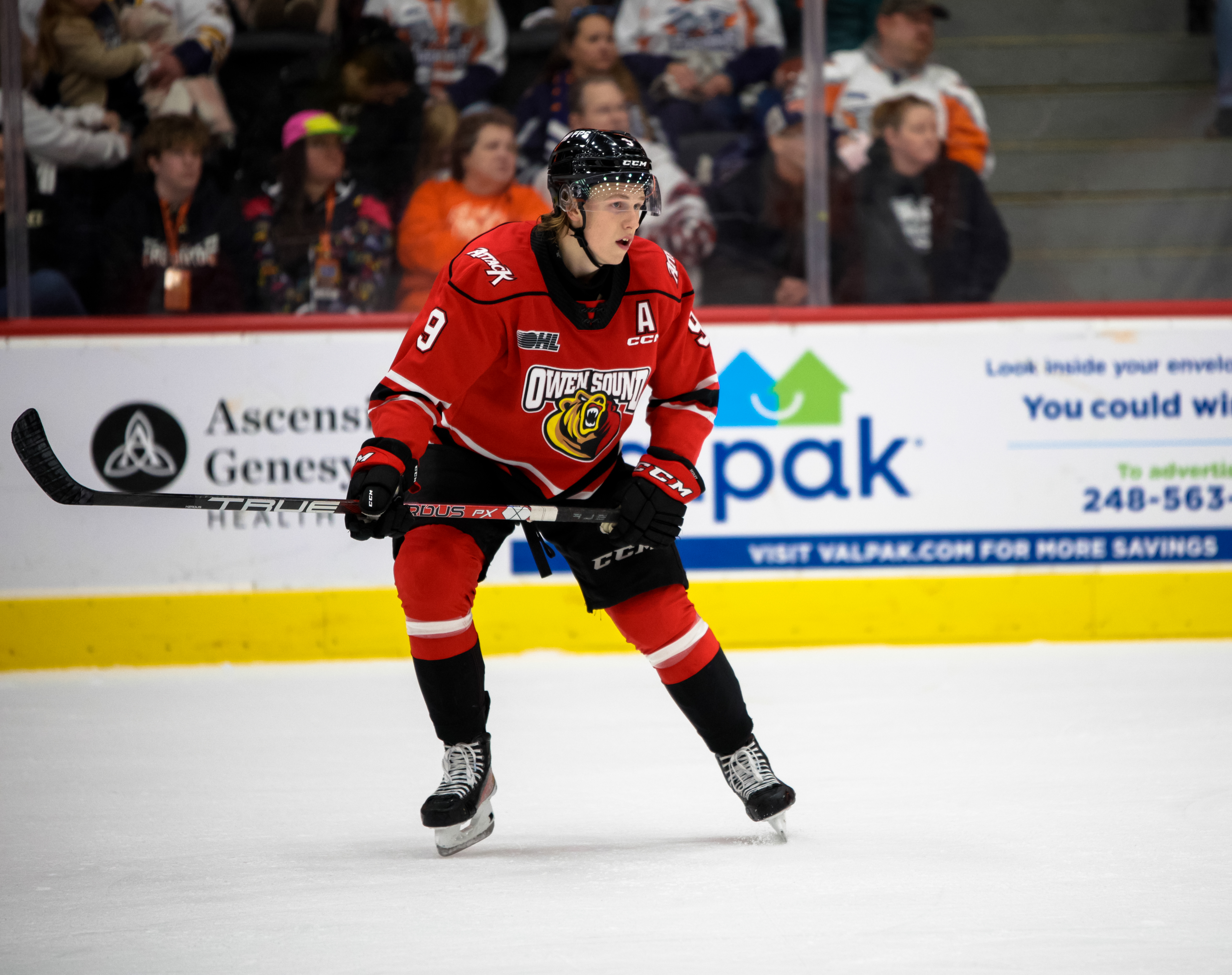 Natalie Shaver/OHL Images - Owen Sound Alumni Sam Sedley Signs With AHL's Lehigh Valley Phantoms