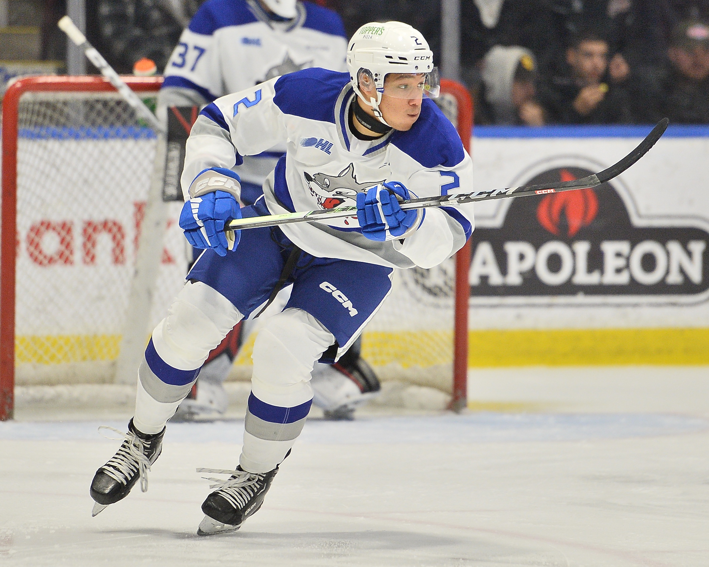 Niagara IceDogs acquire Noah Van Vliet from Sudbury Wolves
