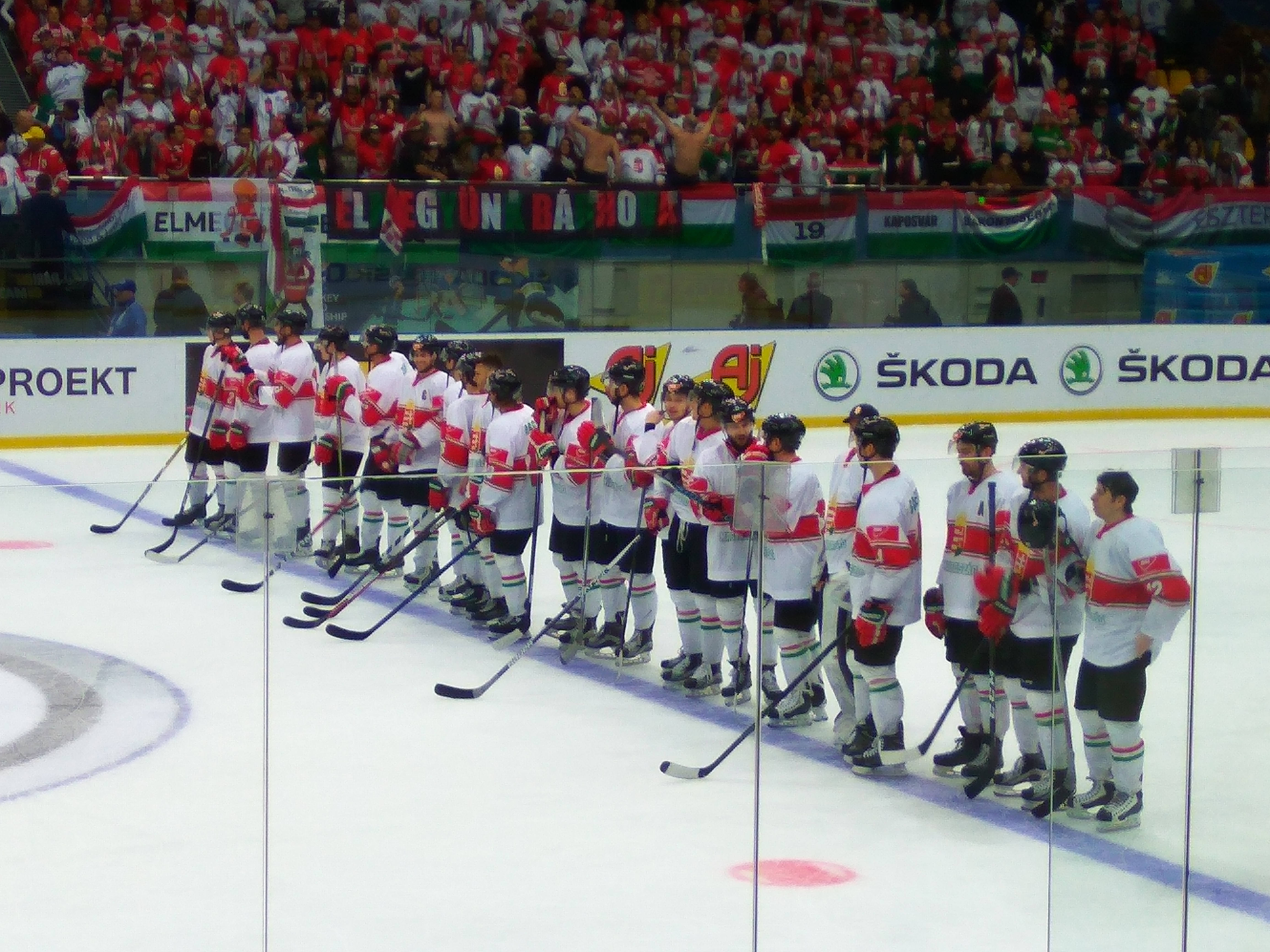 Visem - Hungary faces uphill battle at Olympic qualifiers