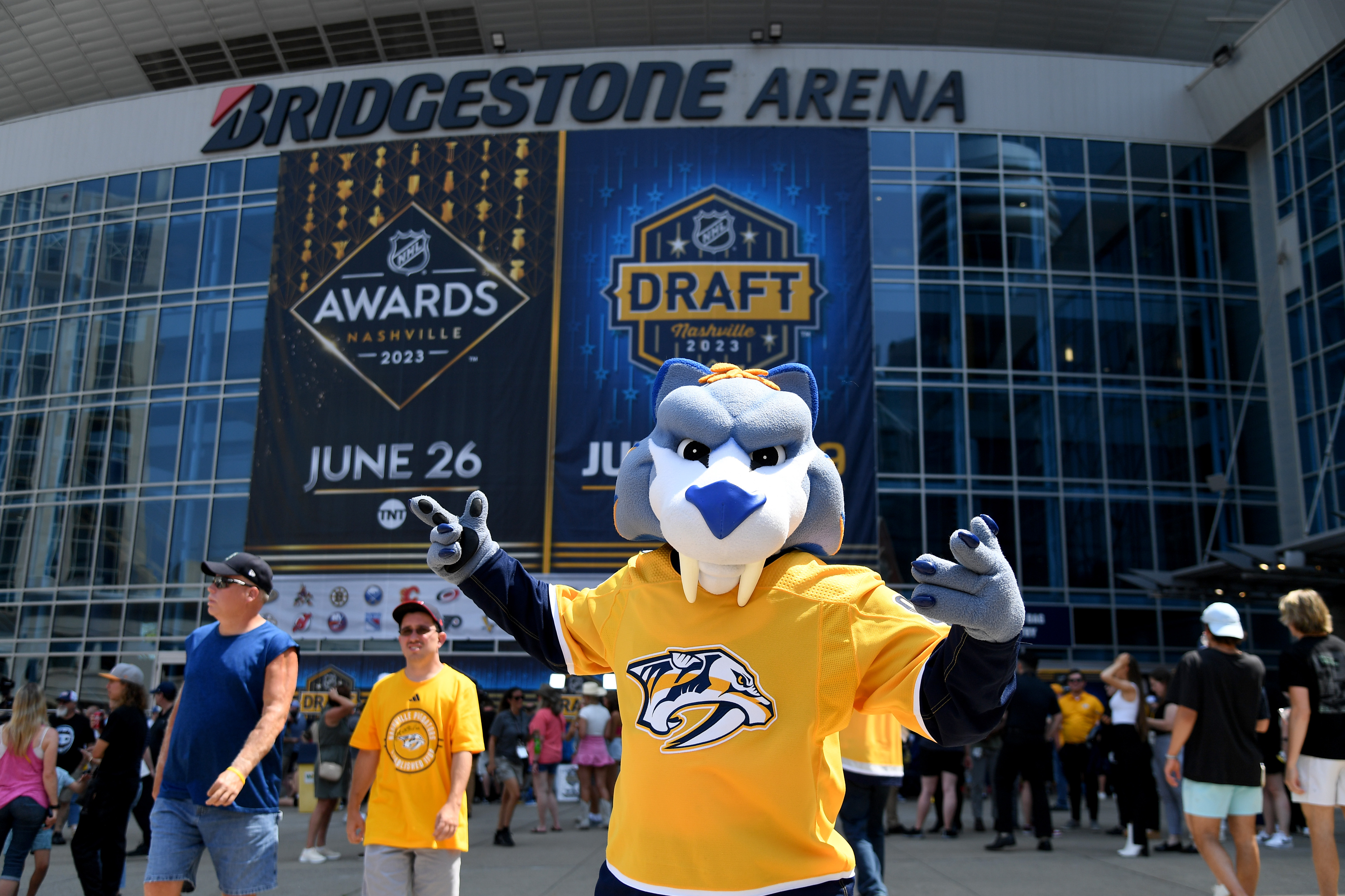 The Appeal of Nashville: The Franchise, the Fans, and the City