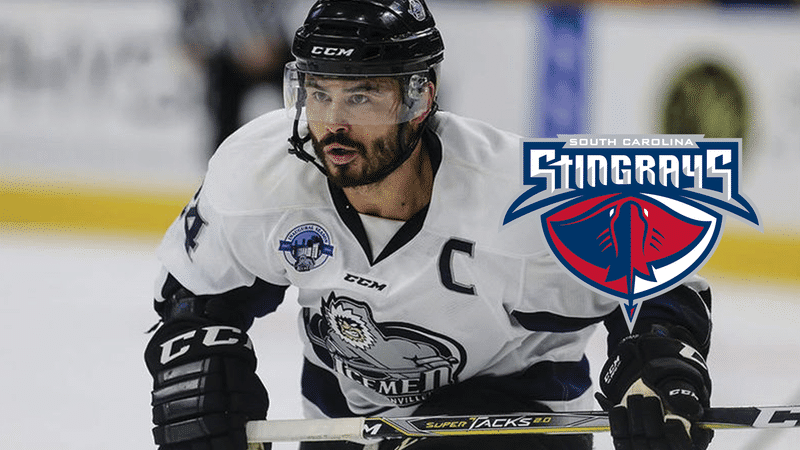 ECHL's All-Time Penalty Minute Leader Hunt Leads Busy Day of Signings