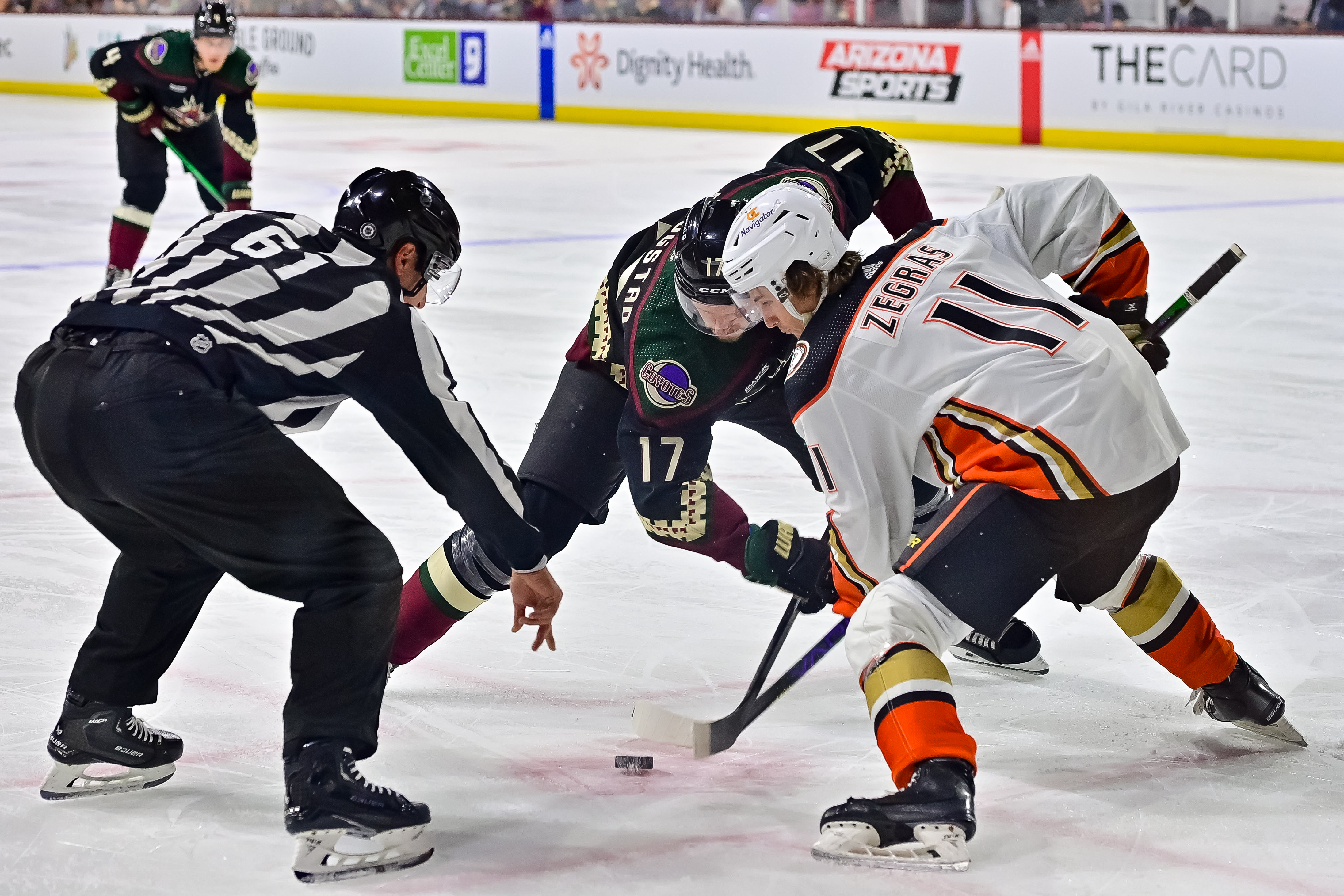 Matt Kartozian-USA TODAY Sports - Are the Coyotes and Ducks a Rivalry in the Making?