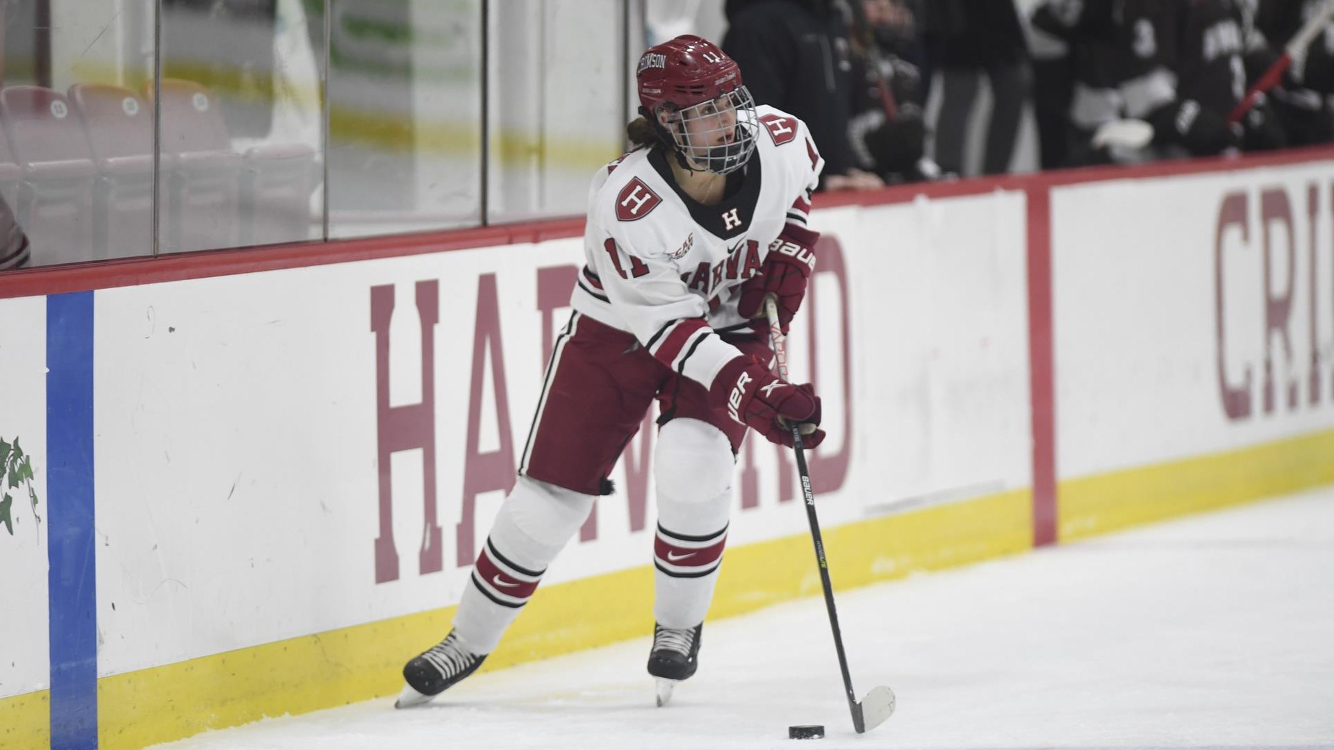 Photo by Gil Talbot / Harvard Athletics - PWHL Teams Continue Signing