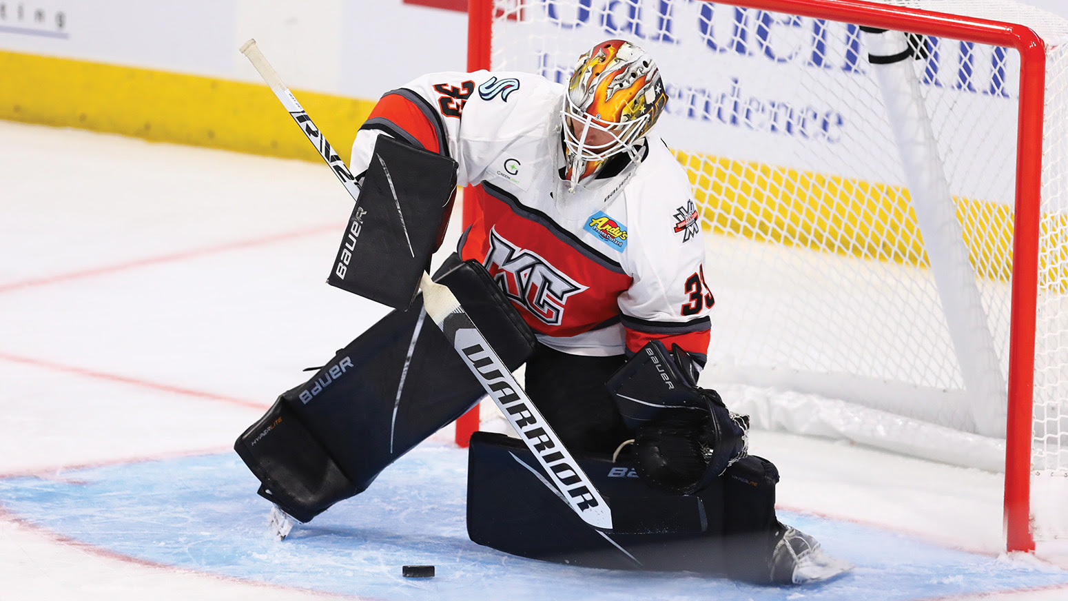 ECHL Photo - ECHL Names Cale Morris Goaltender of the Month for October 2023