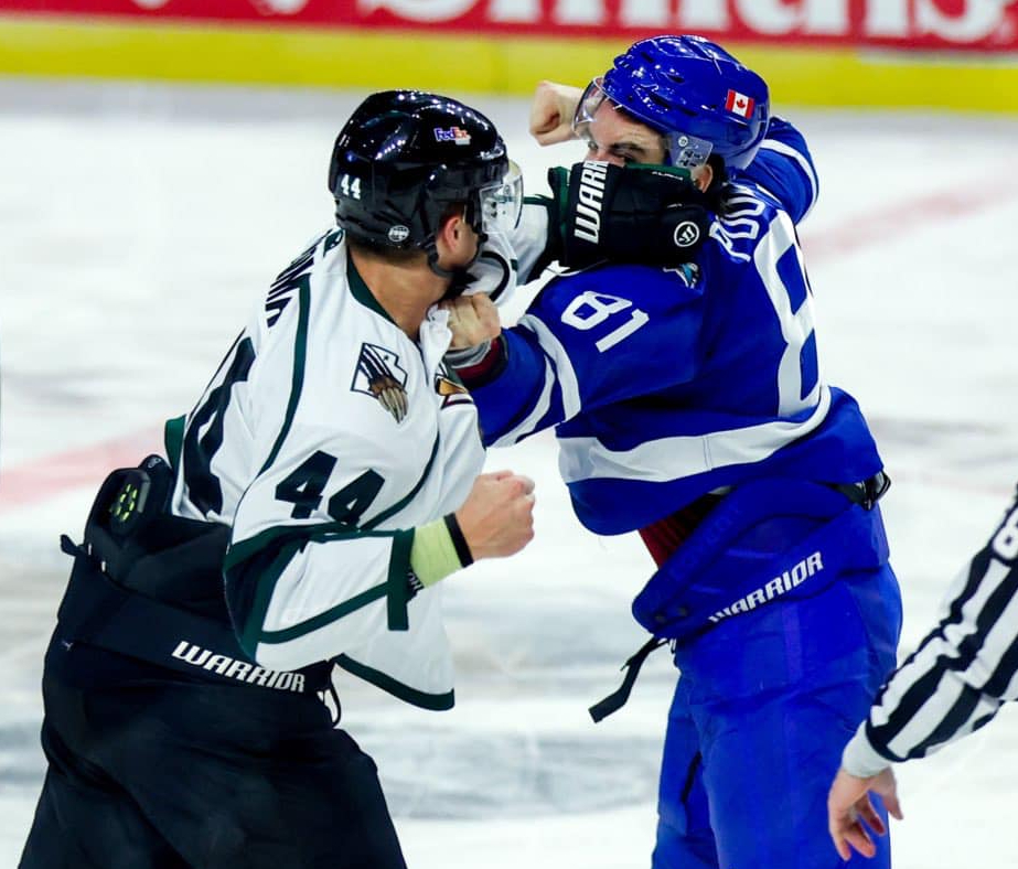 Utah Grizzlies Photo - Out of the Box: Where the Most and Least Penalized Teams in the ECHL Rank in the Standings