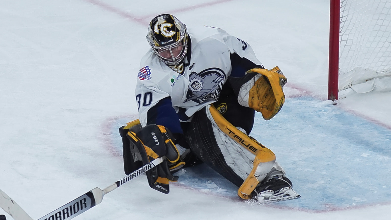 Jacksonville Icemen - ECHL Photo - ECHL Names Idaho's A.J. White and Jacksonville's Mike Vernon as Player and Goaltender of the Week for Nov. 20-26
