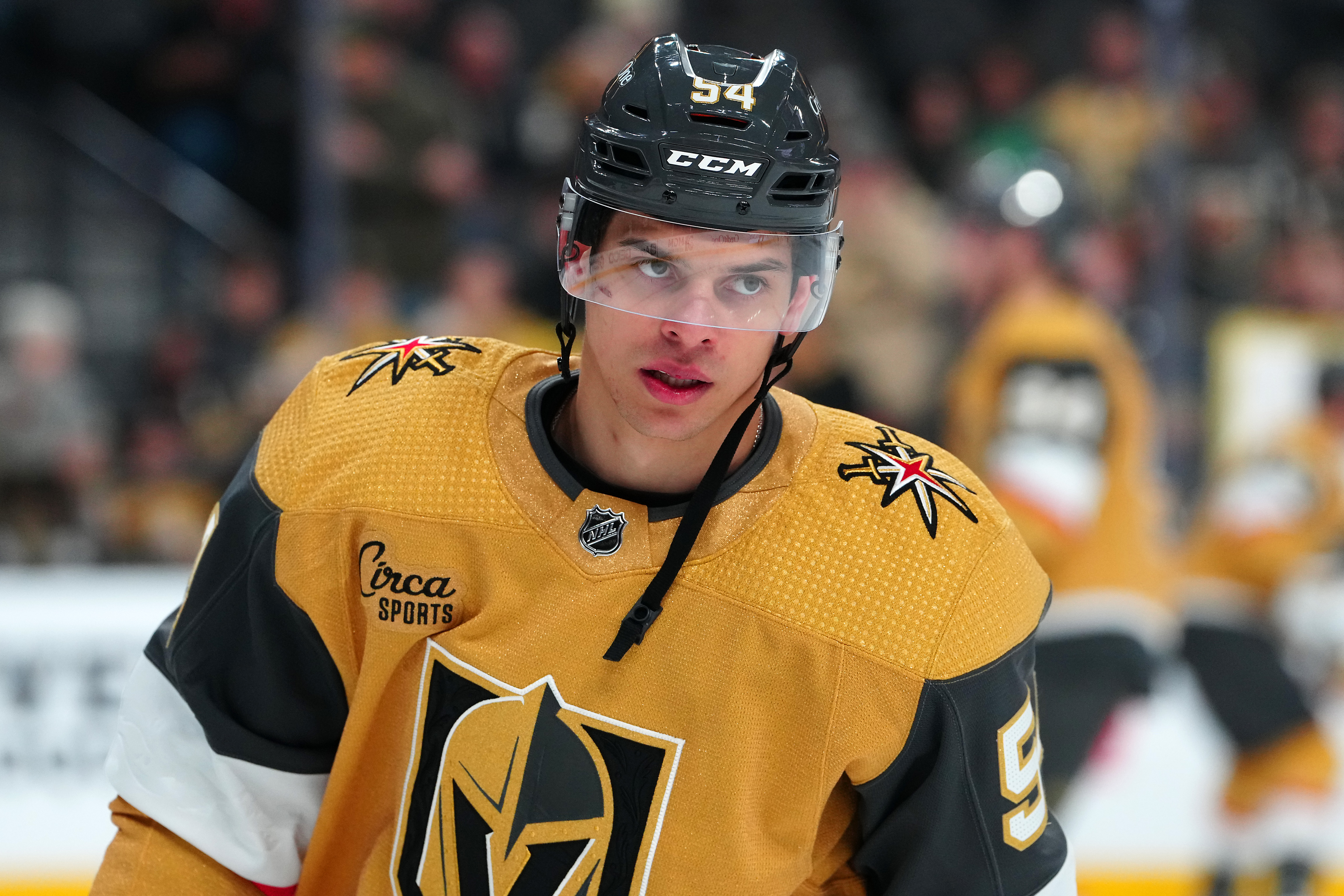 Stephen R. Sylvanie-Imagn Images - Vegas Golden Knights Recall Grigori Denisenko, Reassign Jonas Rondbjerg