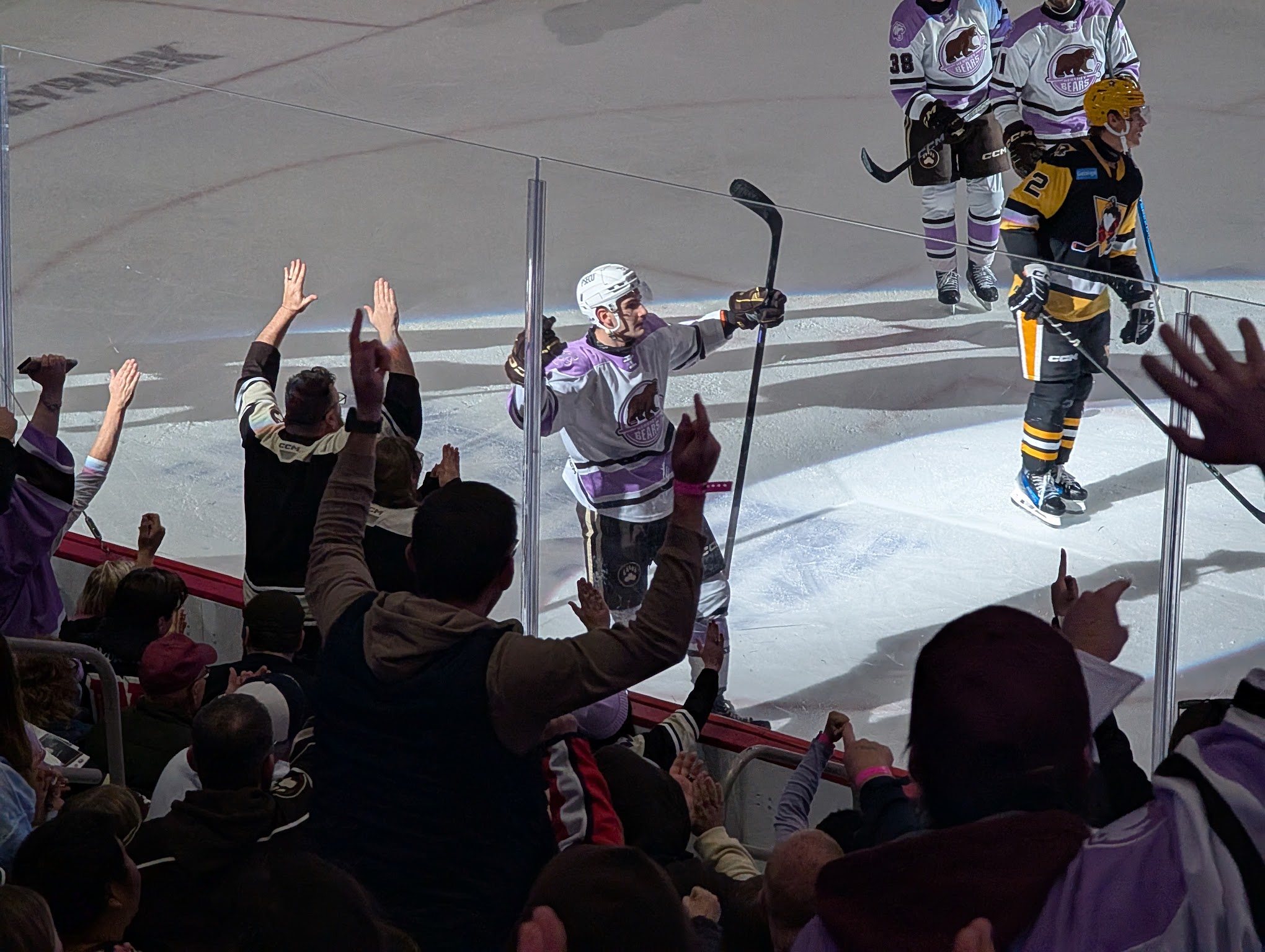 Hershey Bears Wrap: Frank Takes Scoring Lead, Iorio Heats Up, Hockey Fights Cancer Night, Suzdalev's Surge In ECHL, Häman Aktell's Injury