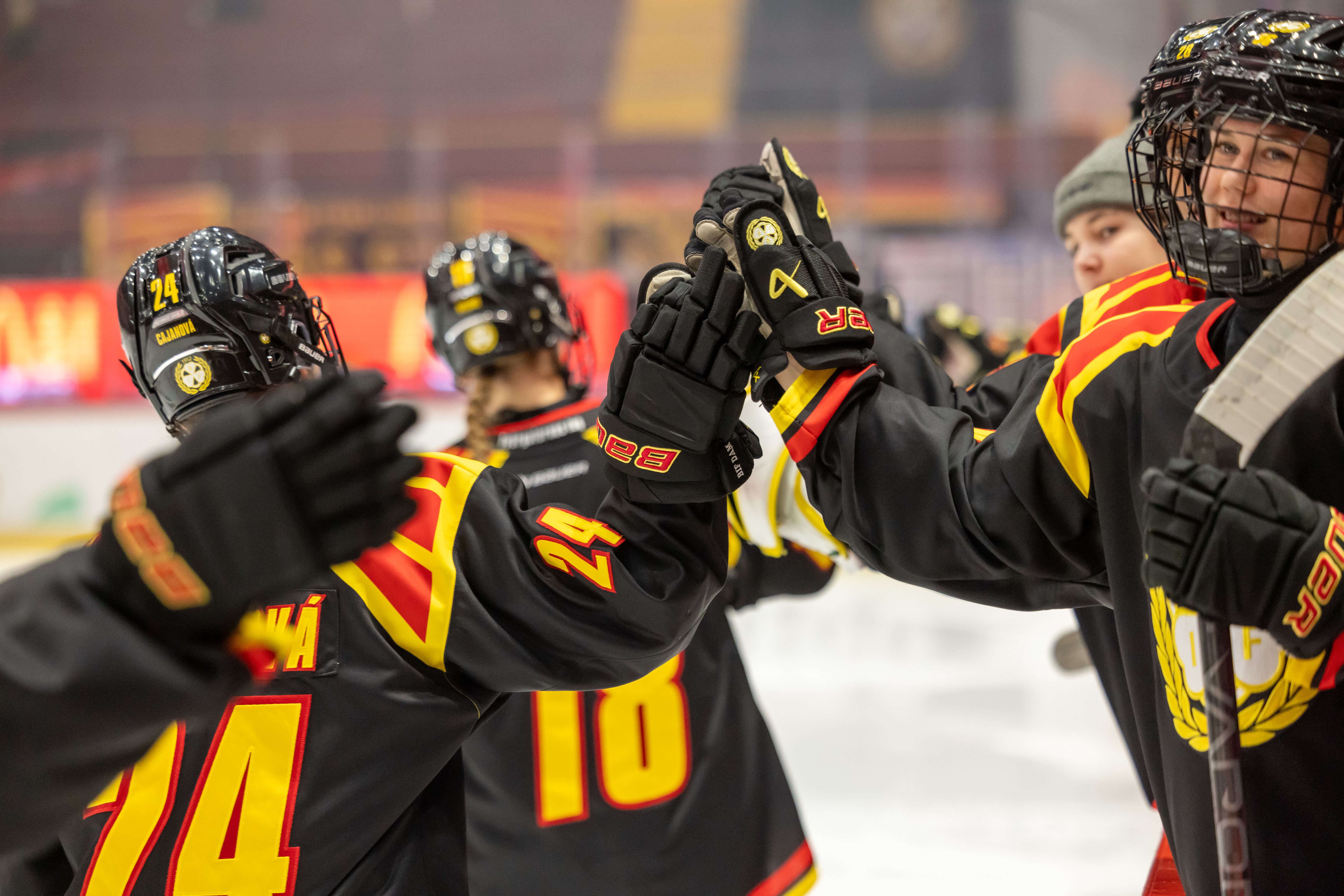 Photo @ Patric Gill / CIRTAP.SE - Big Performances Mark Sunday SDHL Games