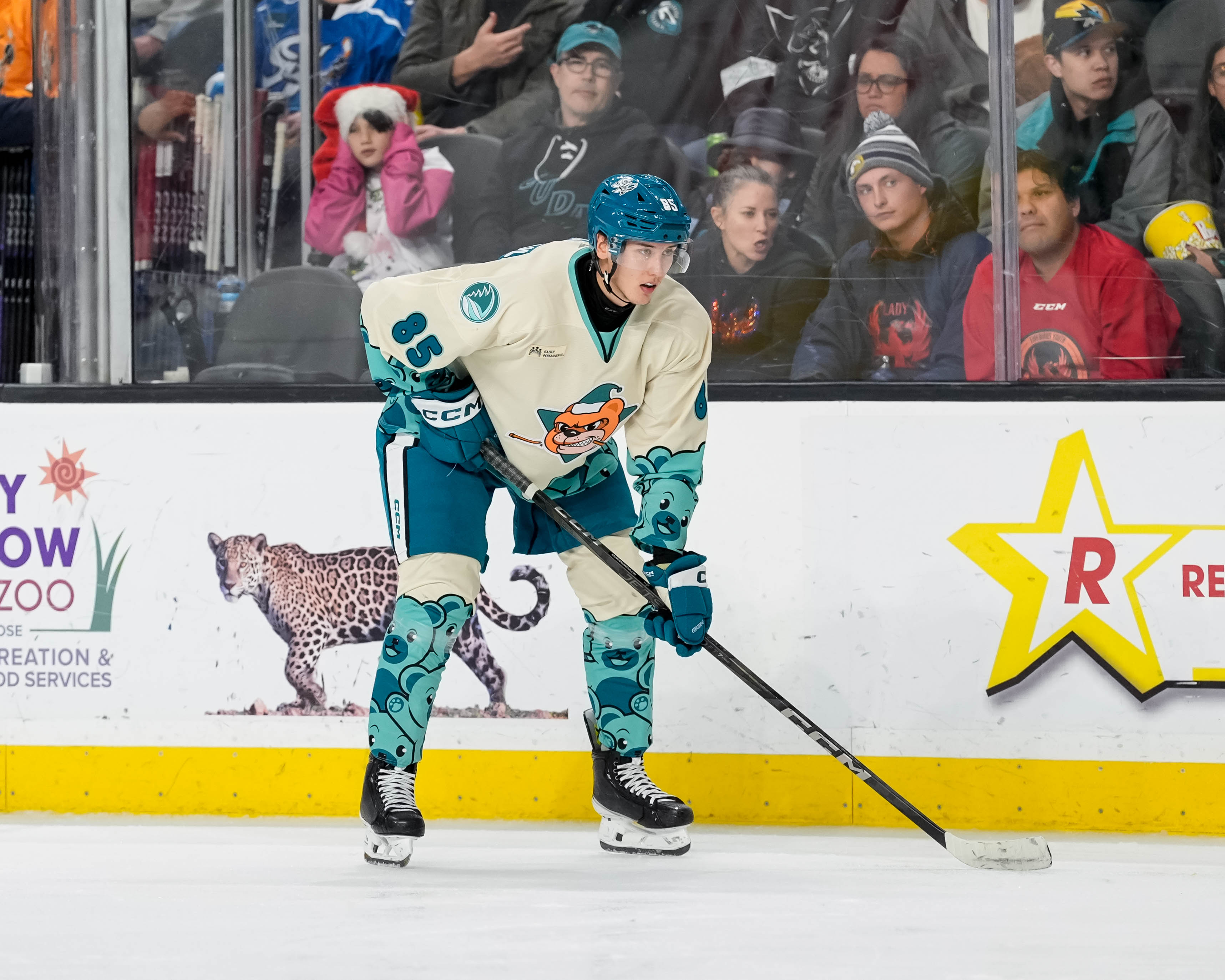 Photo by Andreea Cardani/San Jose Barracuda - Top Sharks Defense Prospect Gets First Recall Of Season