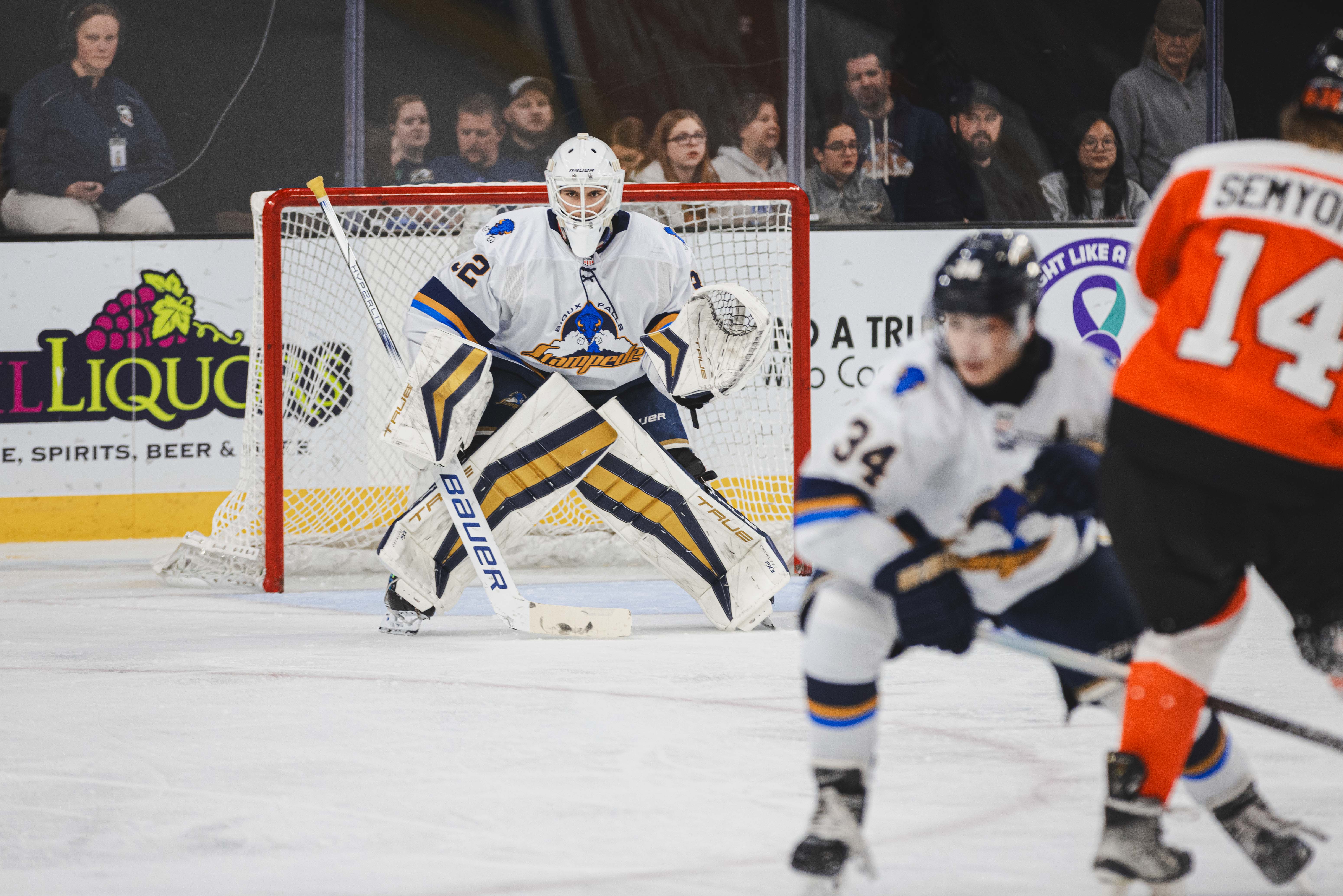 Adam Thury / Sioux Falls Stampede - Stampede lose Manzella to Michigan Tech