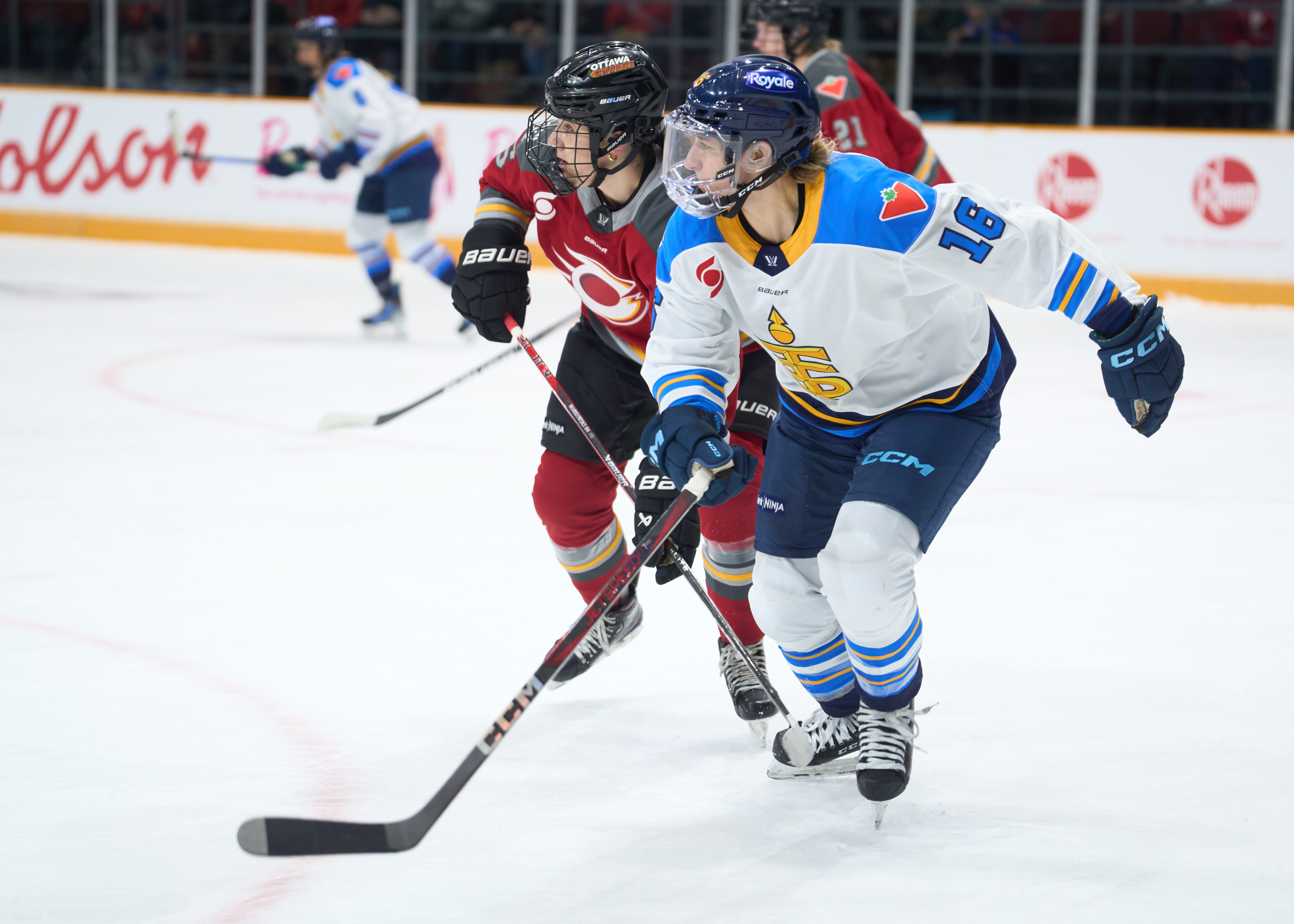 Photo @ Ellen Bond / The Hockey News - Spooner Won't Play, Scamurra Getting Close As Sceptres Hit The Road