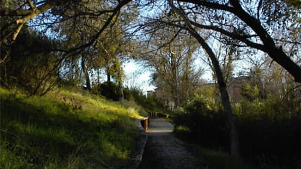 This is just one part of the Salinas River Trail that is shaded. 