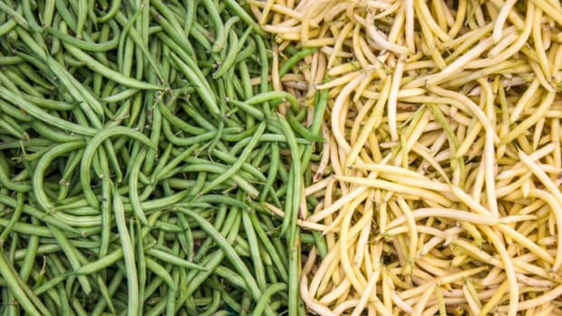 grow-green-beans-from-seed