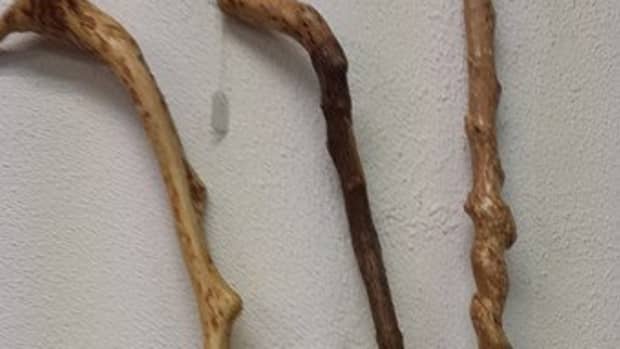 walkingstick-craft-collecting-blanks-from-natural-sources
