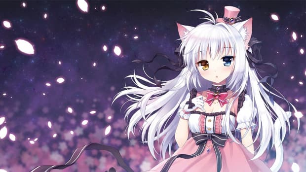 what-you-need-to-know-about-anime-cat-girls