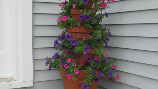 how-to-make-terra-cotta-flower-tower-with-annuals