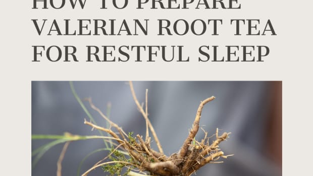 how-to-prepare-valerian-root-tea
